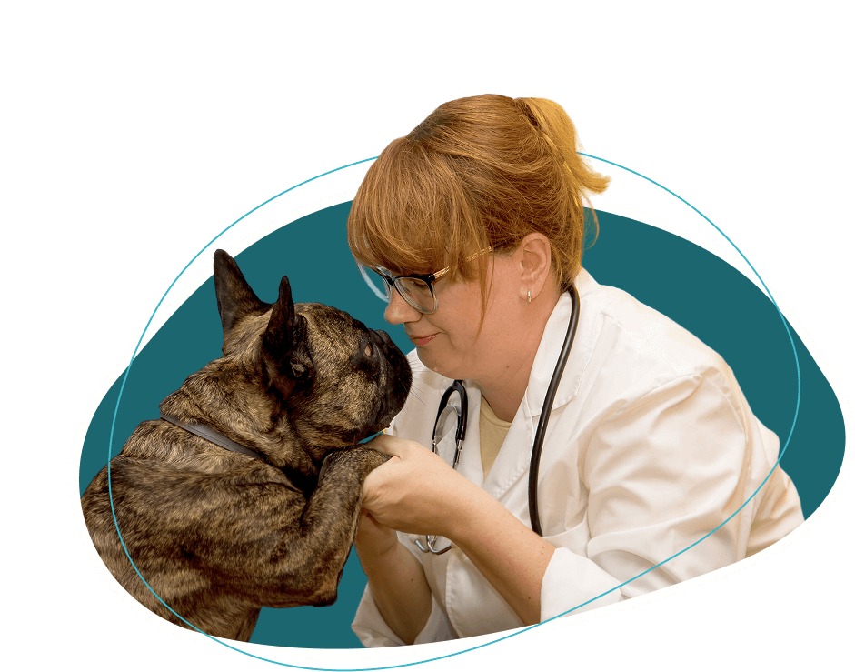 laboratory_ban_img